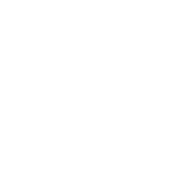 Competency Tracking System Icon