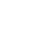 Academic Practice Bridge Program Icon